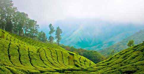 Incredible-Kerala 14 Nights / 15 Days